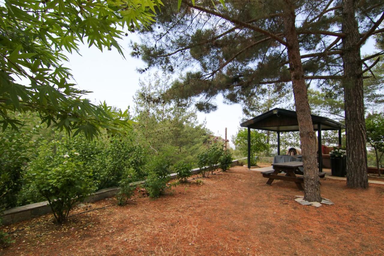 Foini Phaedrus Living: Forest View Luxury Villa Chantara מראה חיצוני תמונה
